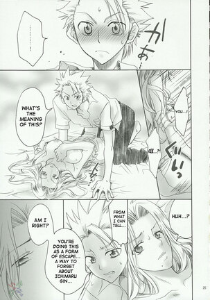 Kokucho Ranbu Page #24