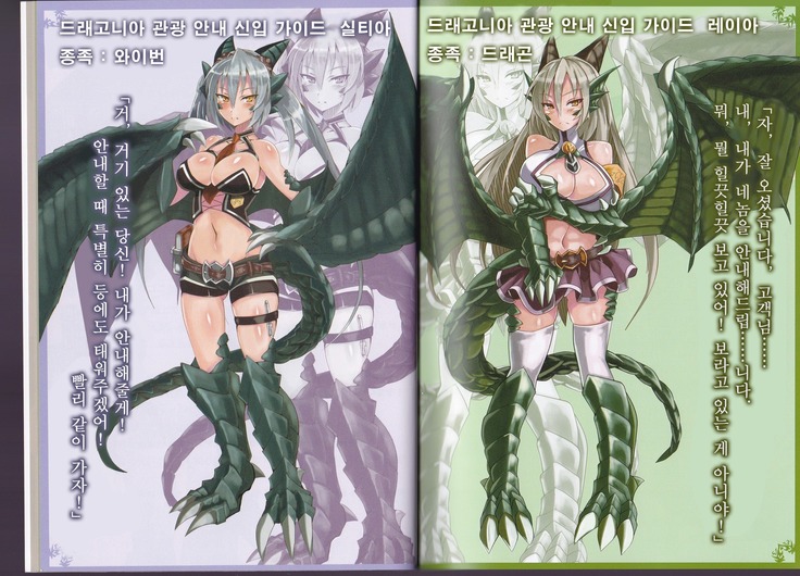 Monster Girl Encyclopedia World Guide - Side I: Dragonia