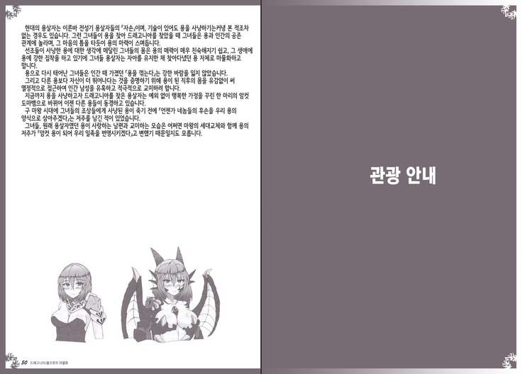 Monster Girl Encyclopedia World Guide - Side I: Dragonia