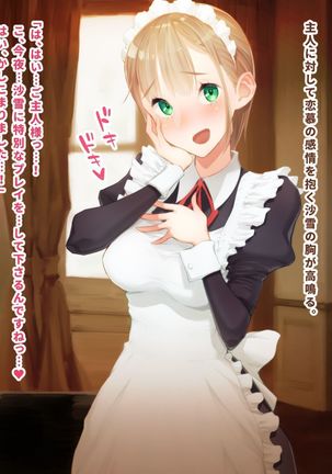 Scatolo Maid-san