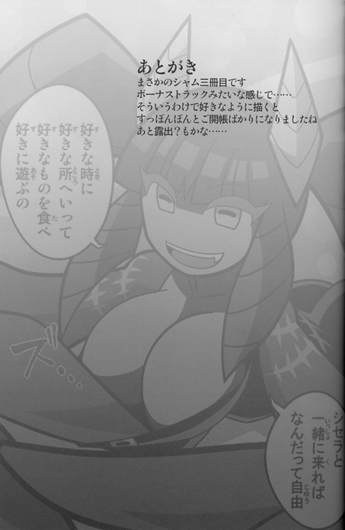 Nekoneko Fight 3sarame
