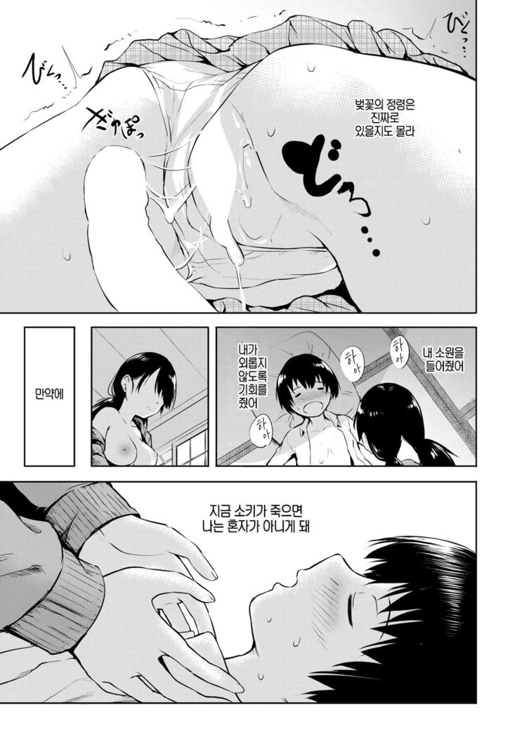 Sakanai Sakura | 피지 않는 벚꽃
