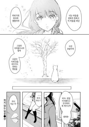 Sakanai Sakura | 피지 않는 벚꽃 Page #16