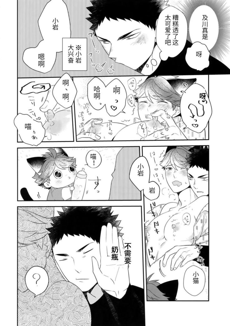 Iwa-chan no Neko ni Naritai 6 | 我想成为小岩的猫6