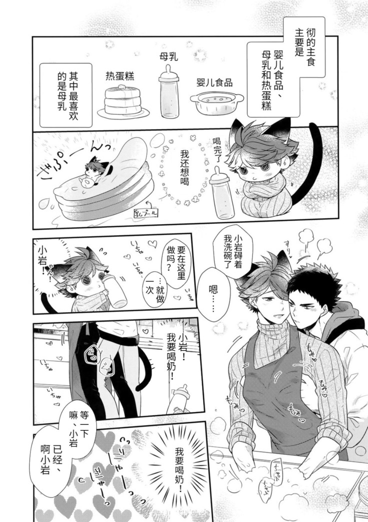 Iwa-chan no Neko ni Naritai 6 | 我想成为小岩的猫6