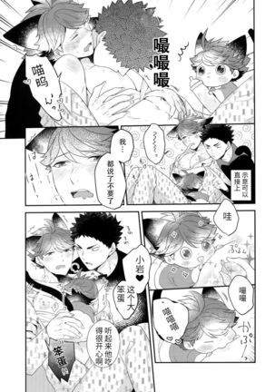 Iwa-chan no Neko ni Naritai 6 | 我想成为小岩的猫6 - Page 27