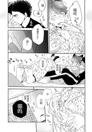 Iwa-chan no Neko ni Naritai 6 | 我想成为小岩的猫6 Page #23