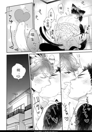 Iwa-chan no Neko ni Naritai 6 | 我想成为小岩的猫6 - Page 34