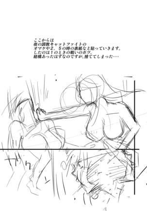 Yoru no Choukyou Cat Fight 3 Page #39