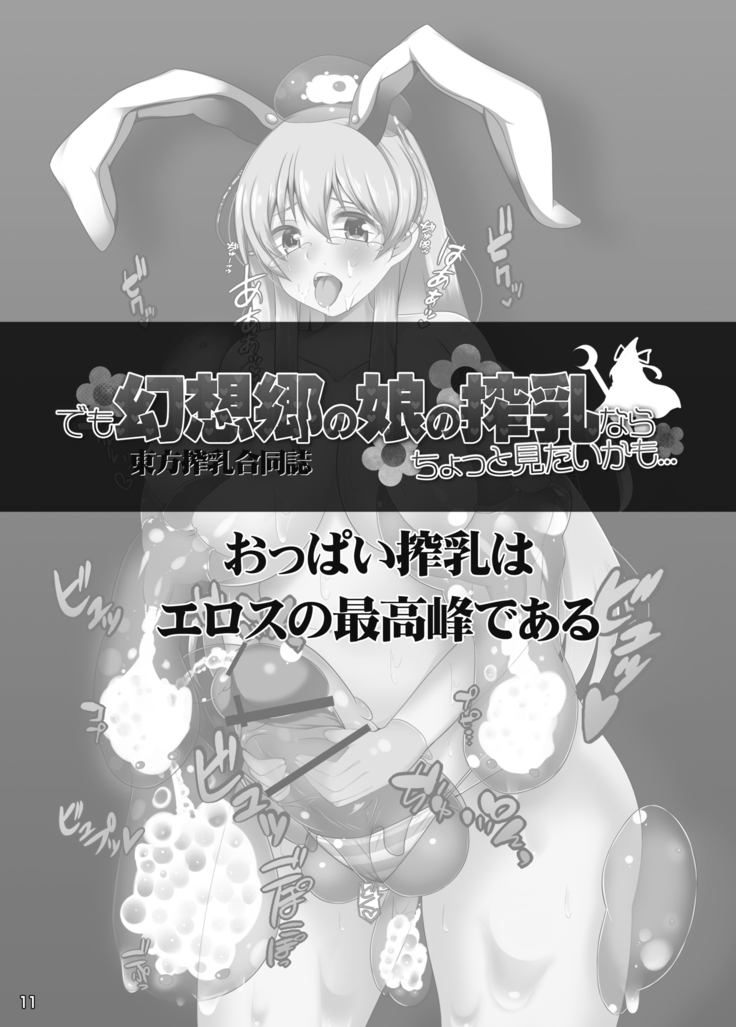 Touhou Sakunyuu Goudoushi Demo Gensoukyou no Musume no Sakunyuu nara Chotto Mitai kamo...