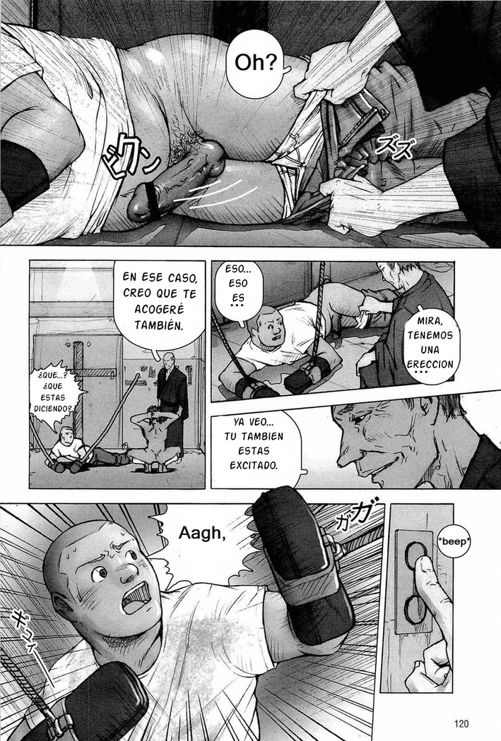 Training Dog Ch. 1-7