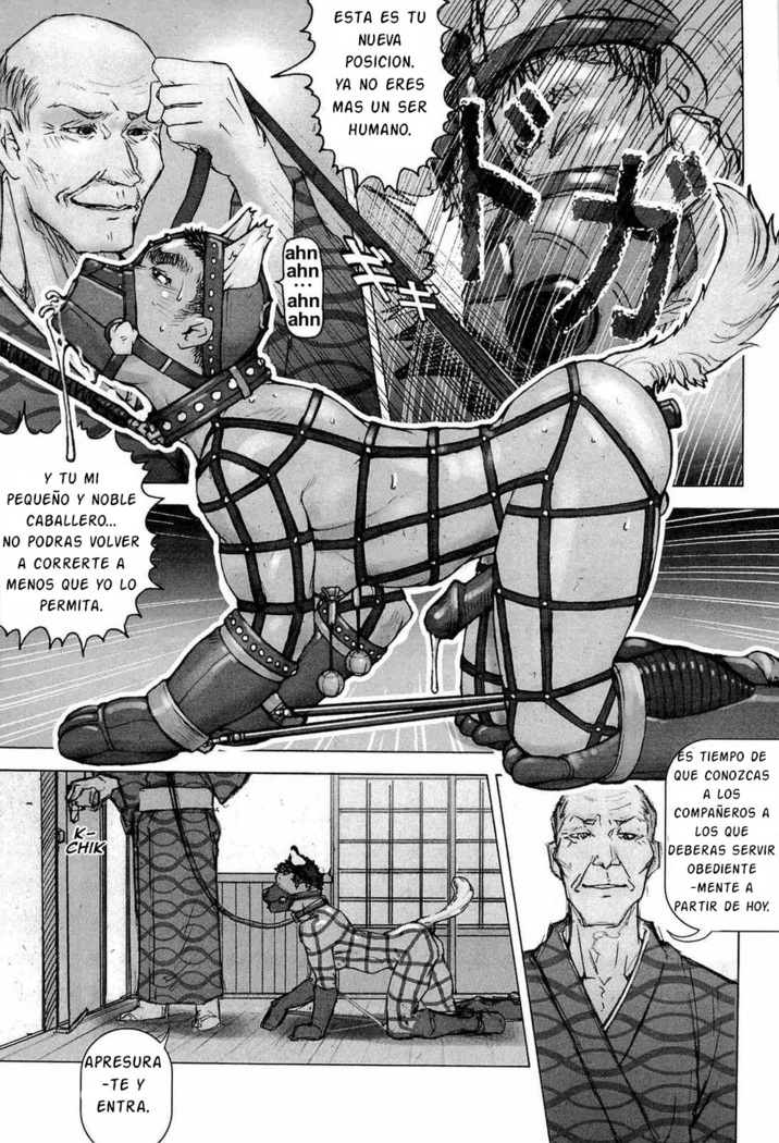 Training Dog Ch. 1-7