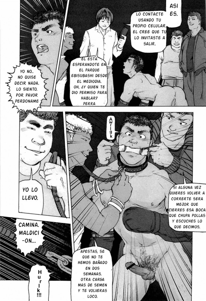Training Dog Ch. 1-7