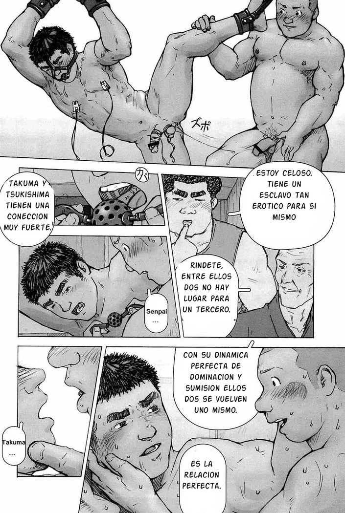 Training Dog Ch. 1-7