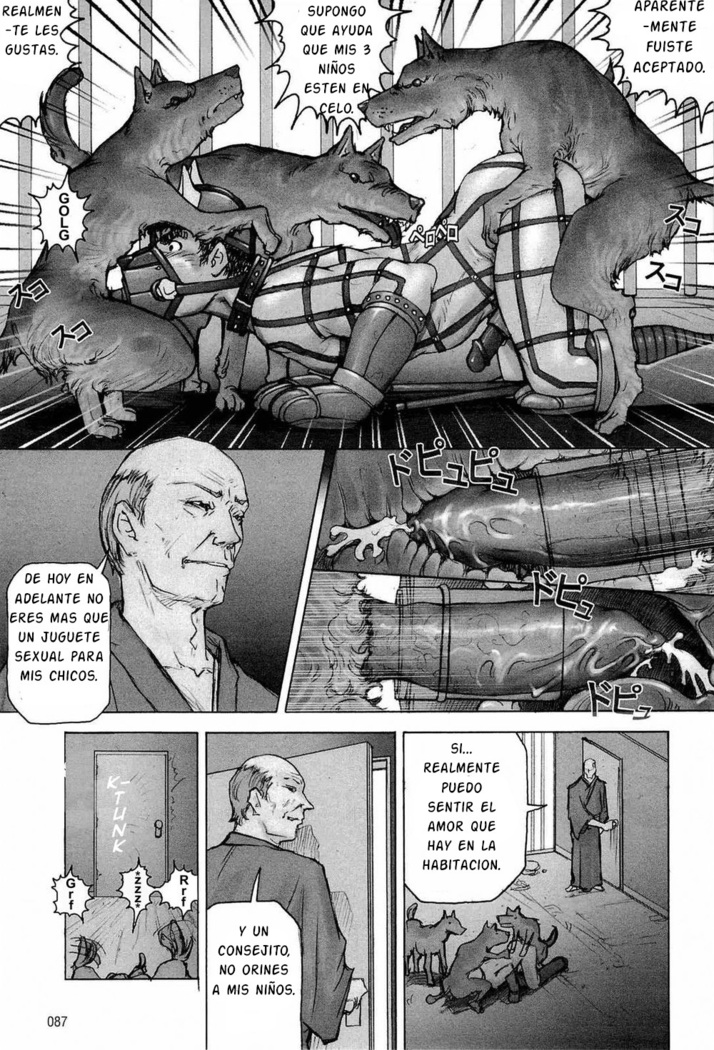 Training Dog Ch. 1-7