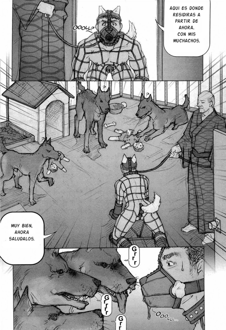 Training Dog Ch. 1-7