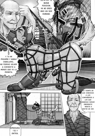 Training Dog Ch. 1-7 Page #84