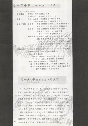 )PUSSY CAT Vol. 22 Pai-chan Hon 2 Page #44
