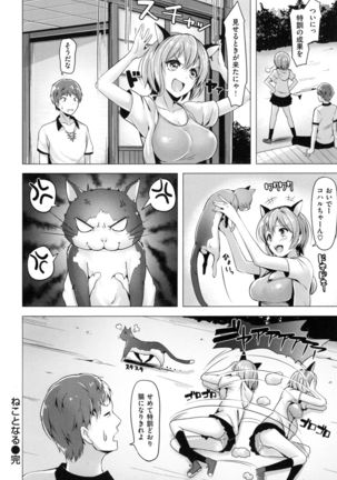 Aigan Buffet - Petting Buffet - - Page 219