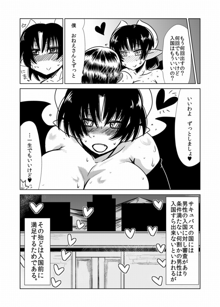 Succubus-san no Sei Chiryou.