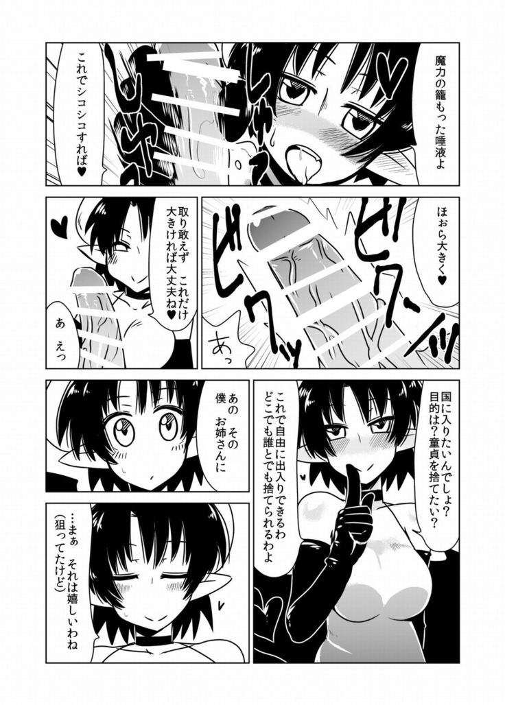 Succubus-san no Sei Chiryou.