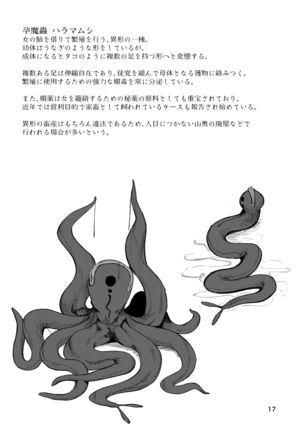 Igyou Koubi Kairaku Jigoku | Demon Breeding Pleasure Hell Page #17