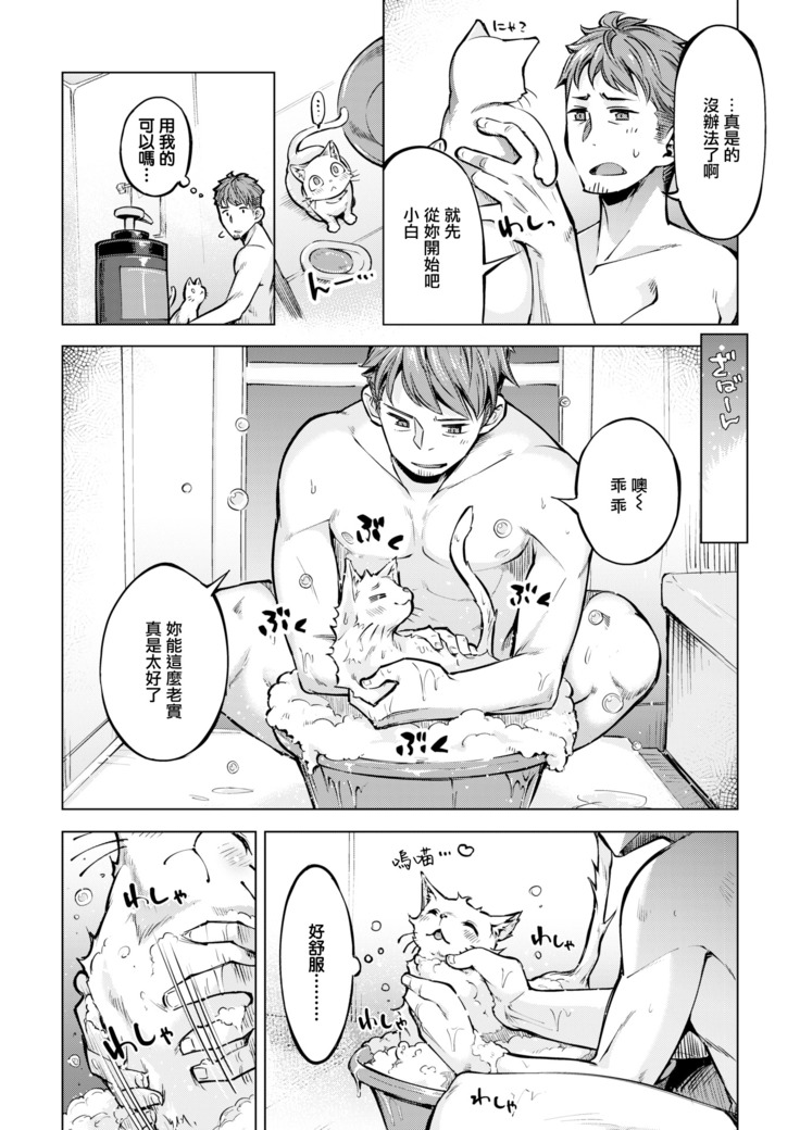 おゆかけニャンコ