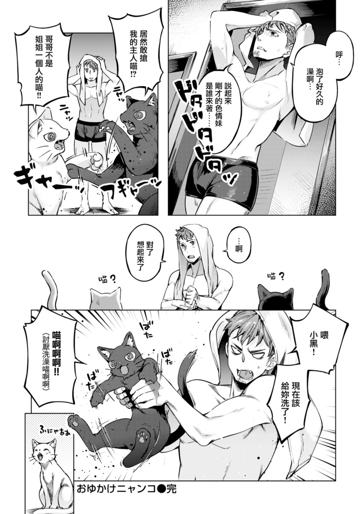 おゆかけニャンコ