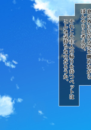 Ie Deshitara JK ni Hirowarete Ero Pet ni Narimashita. Page #207