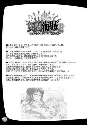 Midarezaki Joshuu Kaizoku 2 - Page 3