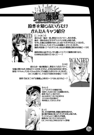 Midarezaki Joshuu Kaizoku 2 - Page 4