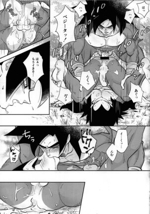 Vegeta no shippo ga konnani bin kanna wake ga nai ! Page #24