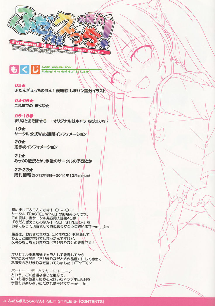 Fudangi H no Hon! -slit style 5-