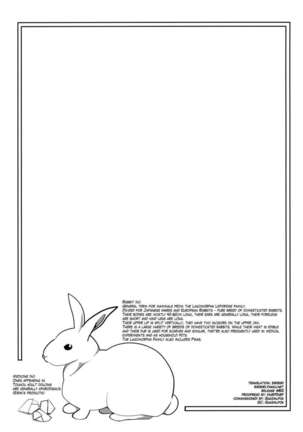 a rabbit pharmacy Page #2