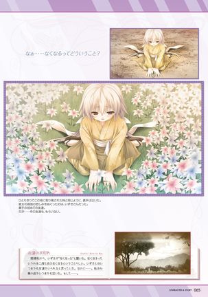 Hanairo Heptagram visual fanbook - Page 64