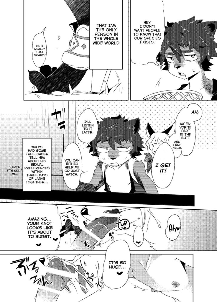 Kori Muchuu -Kitsune to Tanuki no Bakashi Ai-