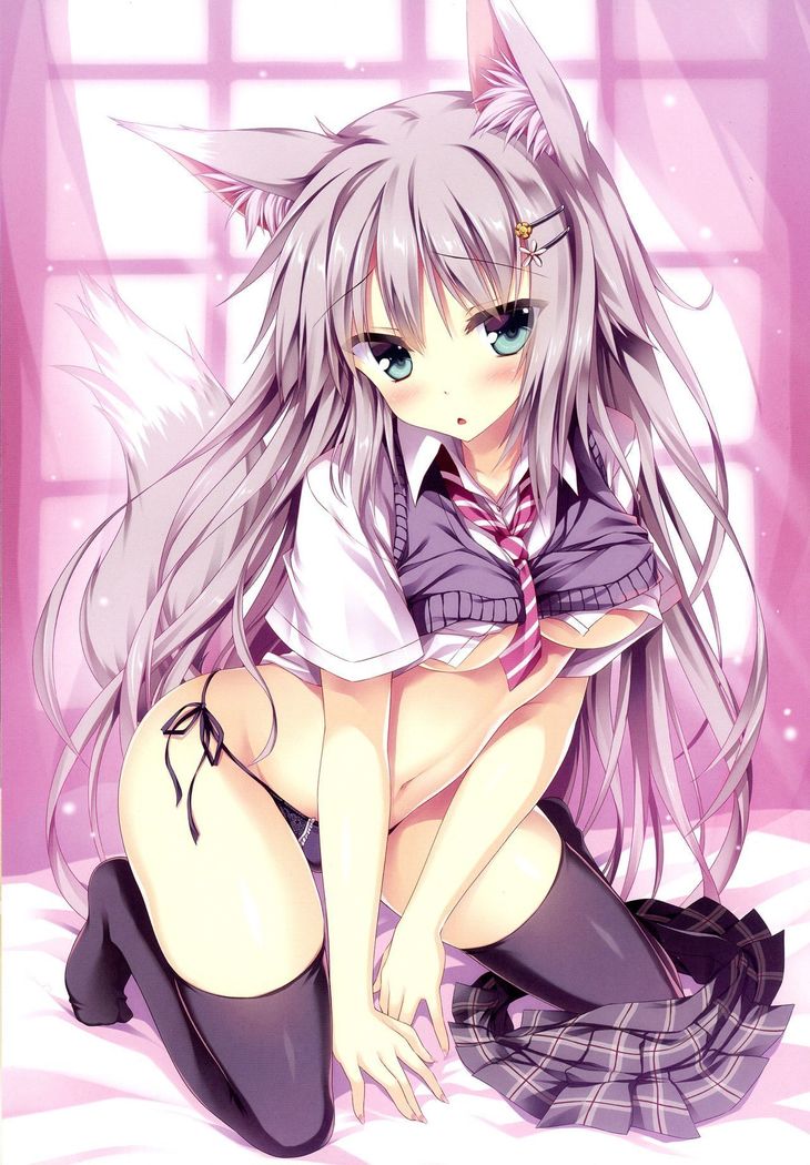 Fox Girl Supply 2
