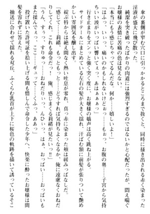 絶対服従！言いなり許可証でお嬢様と調教生活 - Page 207