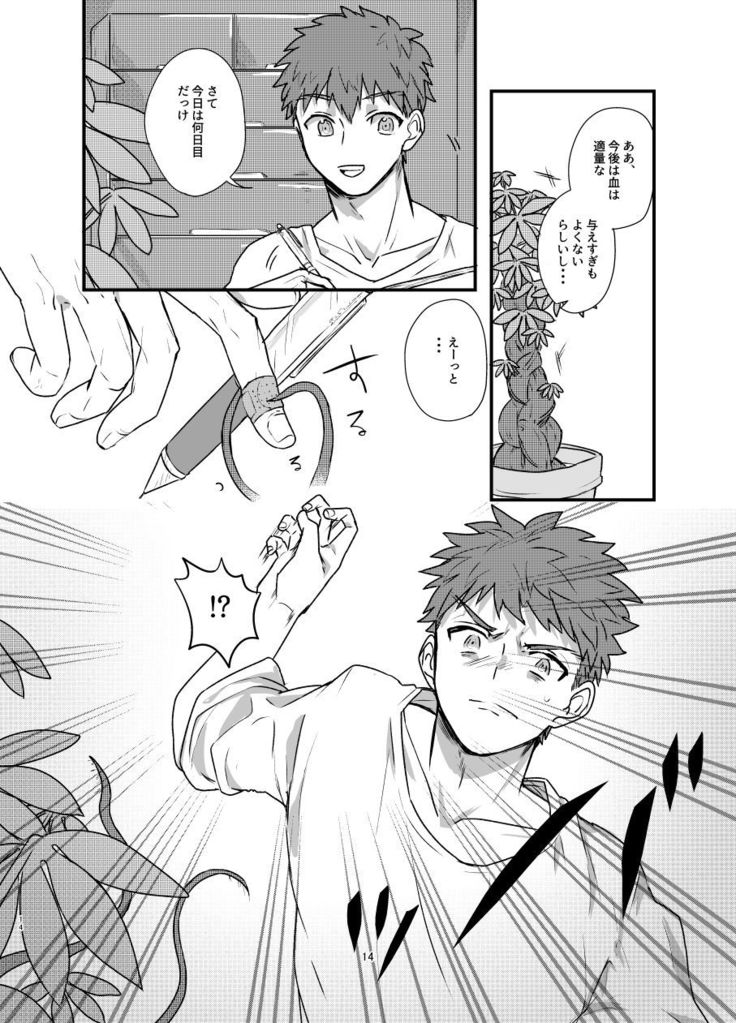 Ah! Shirou-kun Abunai