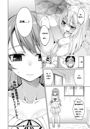 Forbidden Lover Page #20