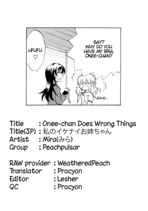 Watashi no Ikenai Onee-chan | Onee-chan Does Wrong Things Page #17