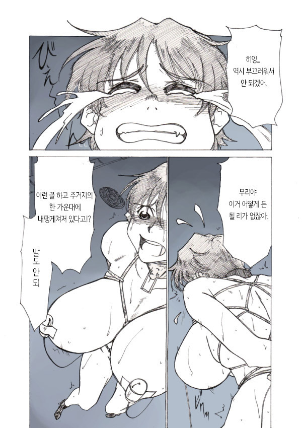 Roshutsu Hime no Hitsuzenteki Kyuuchi  | 노출공주의 필연적 위기