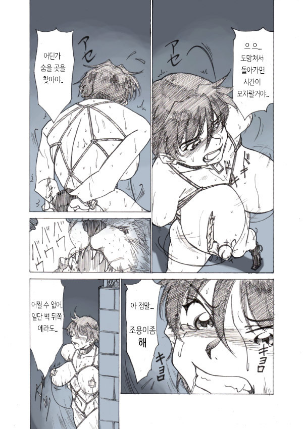 Roshutsu Hime no Hitsuzenteki Kyuuchi  | 노출공주의 필연적 위기