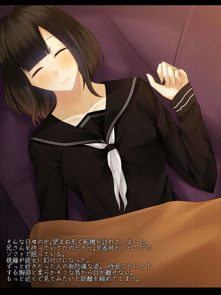 Hatsukoi no Osananajimi wa Ani no Kanojo ~Muboubi ni Nemuru Kanojo o Muriyari Netotta Ore~