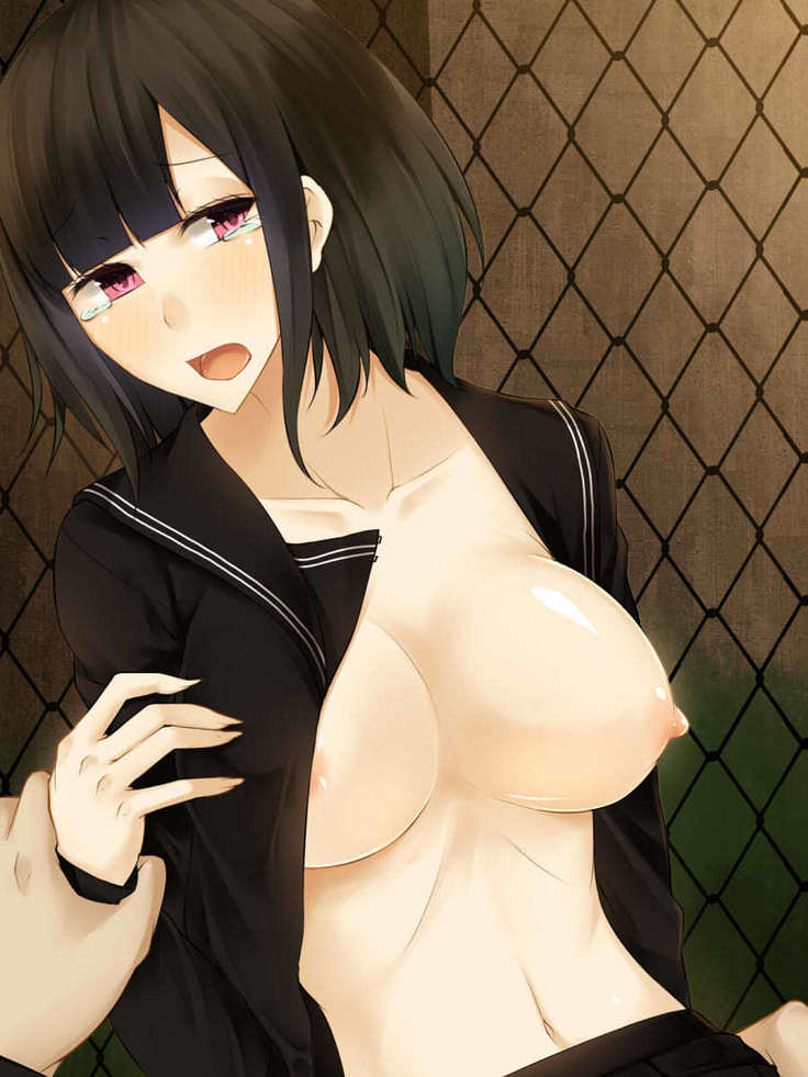 Hatsukoi no Osananajimi wa Ani no Kanojo ~Muboubi ni Nemuru Kanojo o Muriyari Netotta Ore~