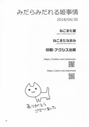 Midara Midareru Hime Jijou Page #29
