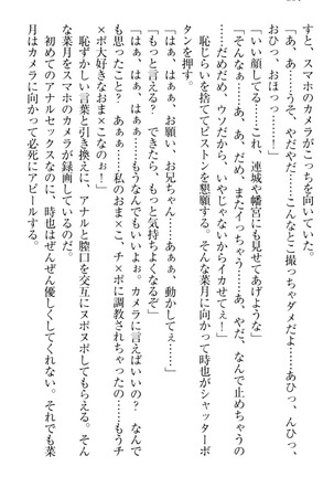 チンデレ！　生意気だった妹が俺の下半身に興味を持ちはじめた件 Page #314