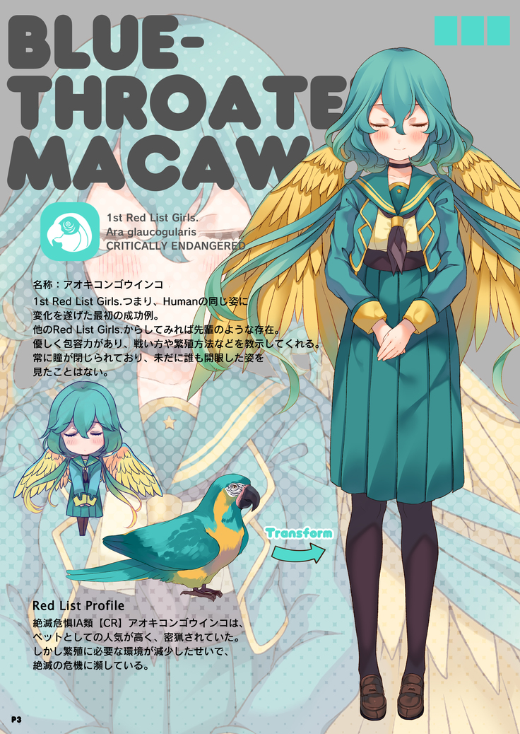 MACAW;EDUCATION