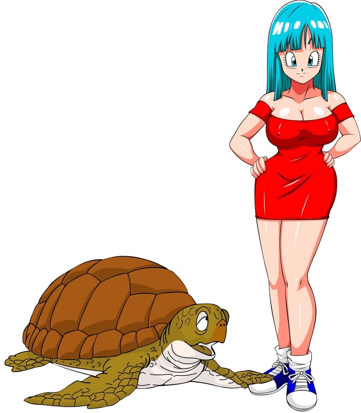 Maron and turtle