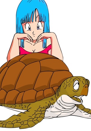 Maron and turtle